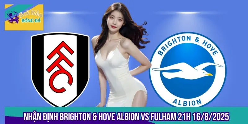 Nhận Định Brighton & Hove Albion Vs Fulham 21h 16/8/2025