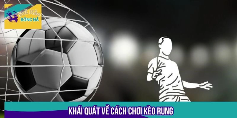 Tổng quan sơ lược về hình thức kèo rung