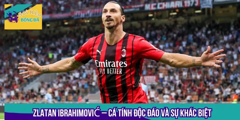 Ibrahimović là cầu thủ xuất sắc nhất châu Âu bởi tài năng thi đấu ấn tượng