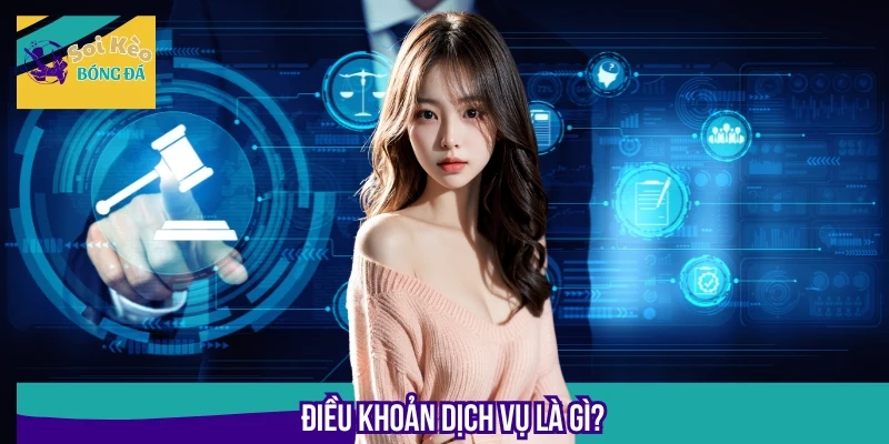 Điều khoản dịch vụ chính là bộ quy tắc và hướng dẫn dành cho Newbie