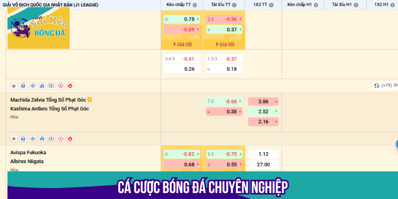 Cược FA88 thể thao tân tiến