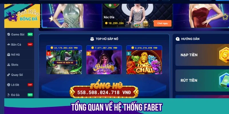 Quá trình hình thành và đi đến phát triển của Fabet