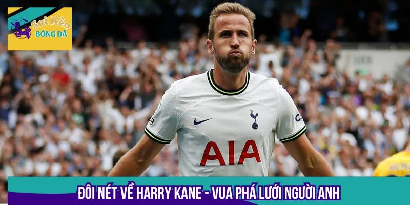 Harry Kane đạt nhiều danh hiệu đáng nể trong sự nghiệp