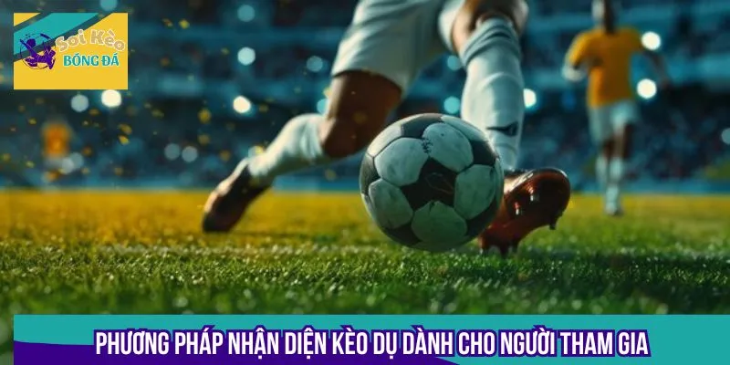 Phương pháp nhận diện kèo dụ dành cho người tham gia