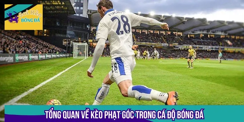 Tổng quan về kèo phạt góc trong cá độ bóng đá