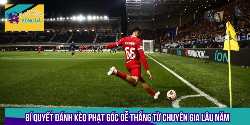 Bí quyết đánh kèo phạt góc dễ thắng từ chuyên gia lâu năm