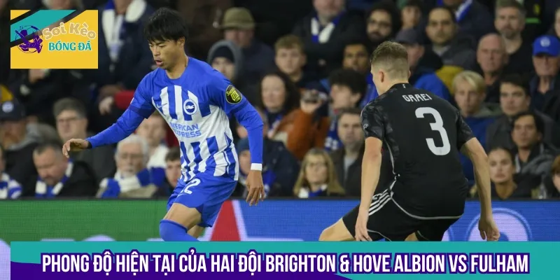 Cần tìm hiểu rõ phong độ của 2 đội Brighton & Hove Albion vs Fulham trước khi cược