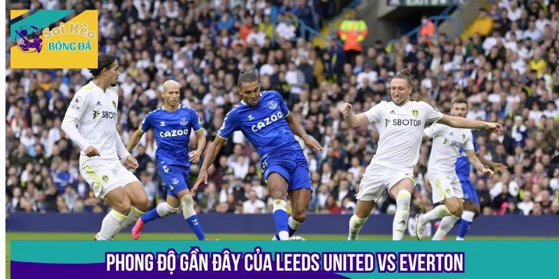 Phong độ thi đấu của Leeds United vs Everton là thông tin soi kèo có ý nghĩa quan trọng