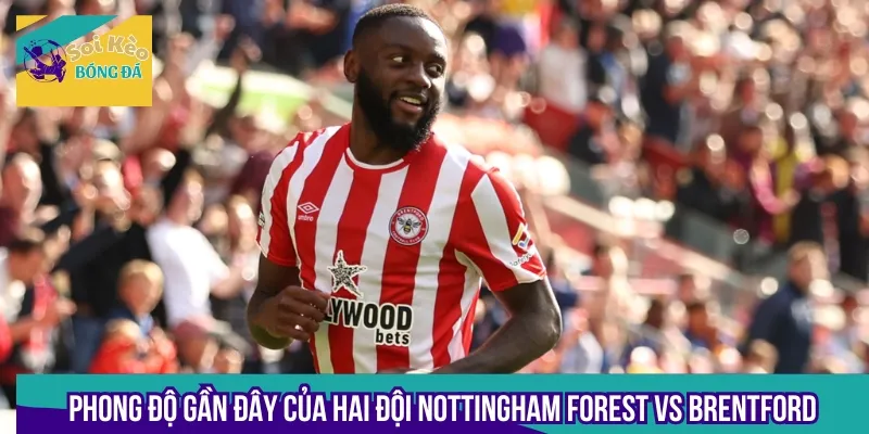 Phong độ thi đấu gần đây của cặp đấu Nottingham Forest vs Brentford là thông tin cần nắm