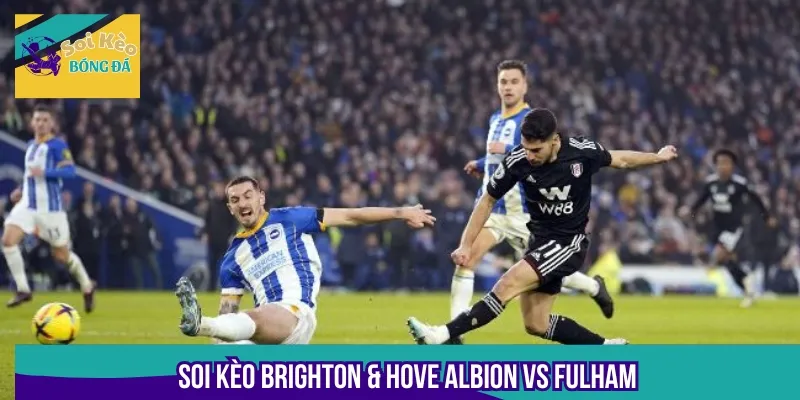 Nhận định soi kèo cặp đấu Brighton & Hove Albion vs Fulham từ chuyên gia