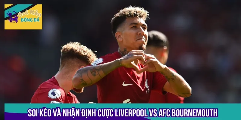 Nắm rõ thông tin soi kèo và nhận định trước trận Liverpool vs AFC Bournemouth
