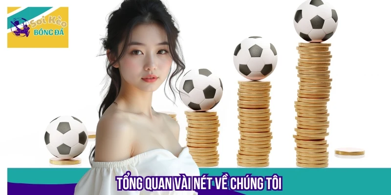 Giới thiệu khái quát một vài mục đích hoạt động về chúng tôi